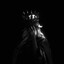 DEFFI_013
