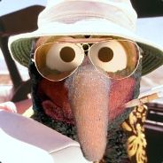Der_grossartige_Gonzo - steam id 76561197970995189