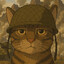 GATO SOLD4DO