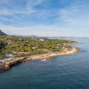 家有女王小莎莎