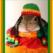 Rasta Rabbit