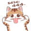 JIELEI