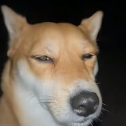 为了生活我需要钱