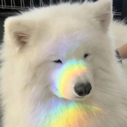 55555510_www_com_why