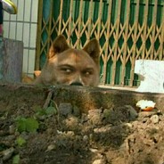 壹个需要运气的人