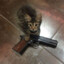 EL GATO CON PISTOLA SD