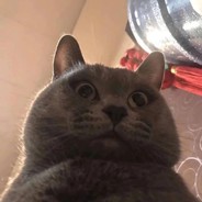 杀完