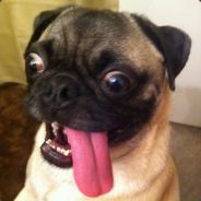 NIXpert - steam id 76561197960858609
