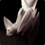 Ghostbat
