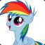 Dashie™