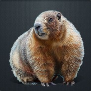 Groundhog Phil - steam id 76561197960509518
