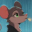 rattus_rattus