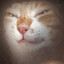 pashkats's avatar
