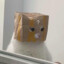 津门划水王