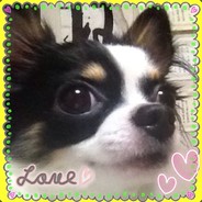 ロマンチックデブ