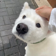 诶呦