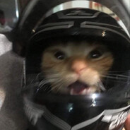 IIKarma
