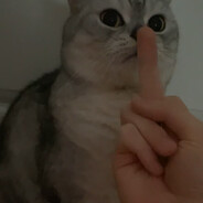 petr