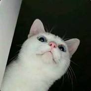 网恋被骗八百大电