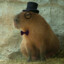 Sir. Capibara