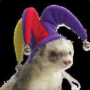 Ferret With Hat
