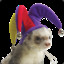 Ferret With Hat