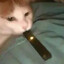 vape the cat
