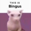 I aM BinGUS