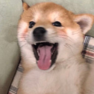 出生入死的兄弟要被出生入死了