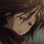 mikasa