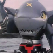 铁甲小宝鲨鱼辣椒观察