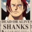 shanks