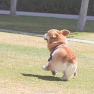 无敌美少女顾美丽