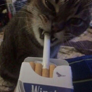 mirzz - steam id 76561199165810836