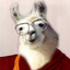 Dalai Llama