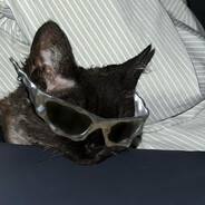 楠楠子的喵爪爪