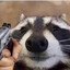 doggies