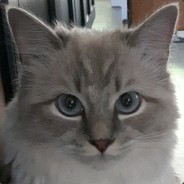 SmittyEh - steam id 76561197962979715