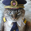 Captain Meow