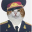 Кот Толя's avatar