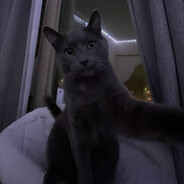 Avatar of Leo