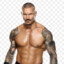 14X WWE Champion Randy Orton