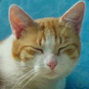 moppa.king - steam id 76561197971099137