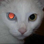 美女爱吃猪大肠