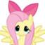 DarkFlutter