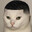 go cat