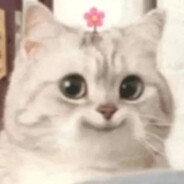 ikun