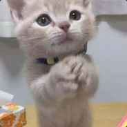 家住海边全靠浪