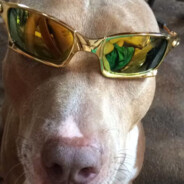 RICON PEREJON MAICHON PAIGUEVORI