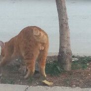 𝕁 ℍ 𝕆 ℕ - steam id 76561199764494141